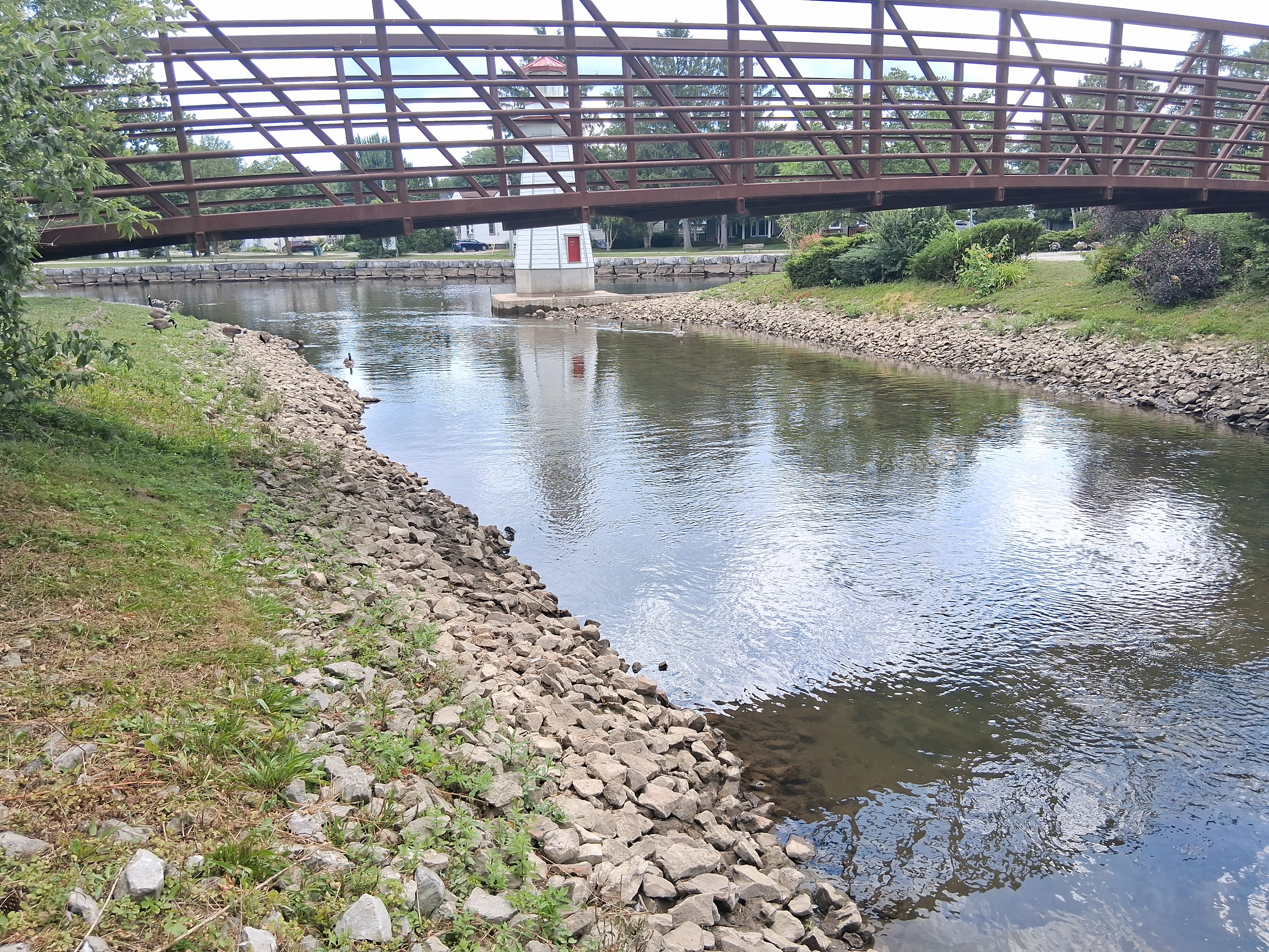 Bridge in the top section, geese in the top left corner, reflection of the bridge in the bottom right square