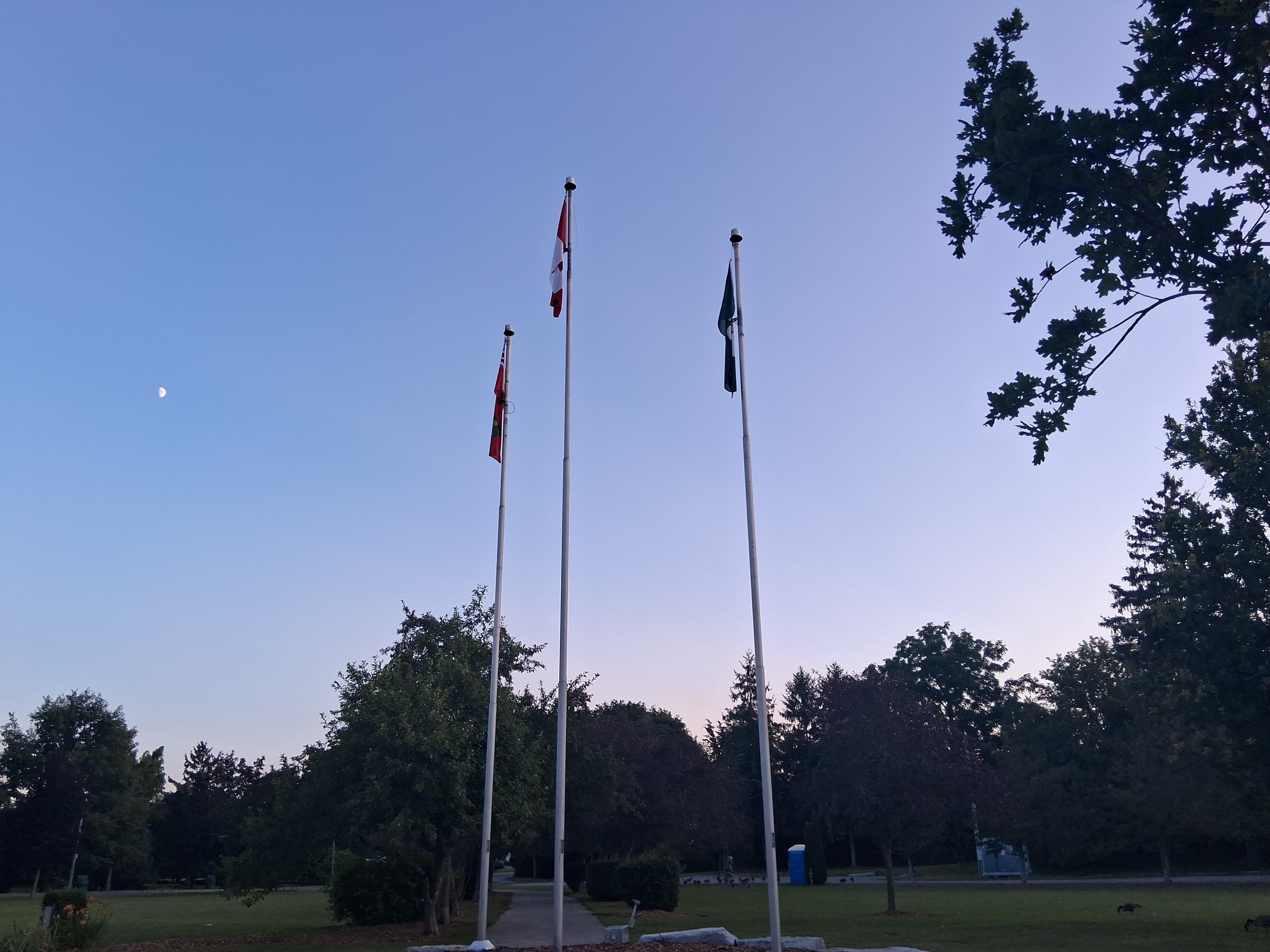Flags, geese confined to bottom right corner